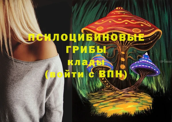 Альфа ПВП Аркадак