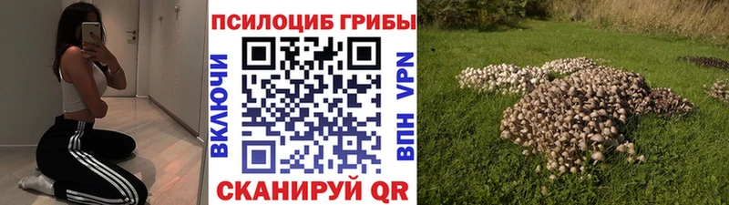 Галлюциногенные грибы GOLDEN TEACHER Приморско-Ахтарск
